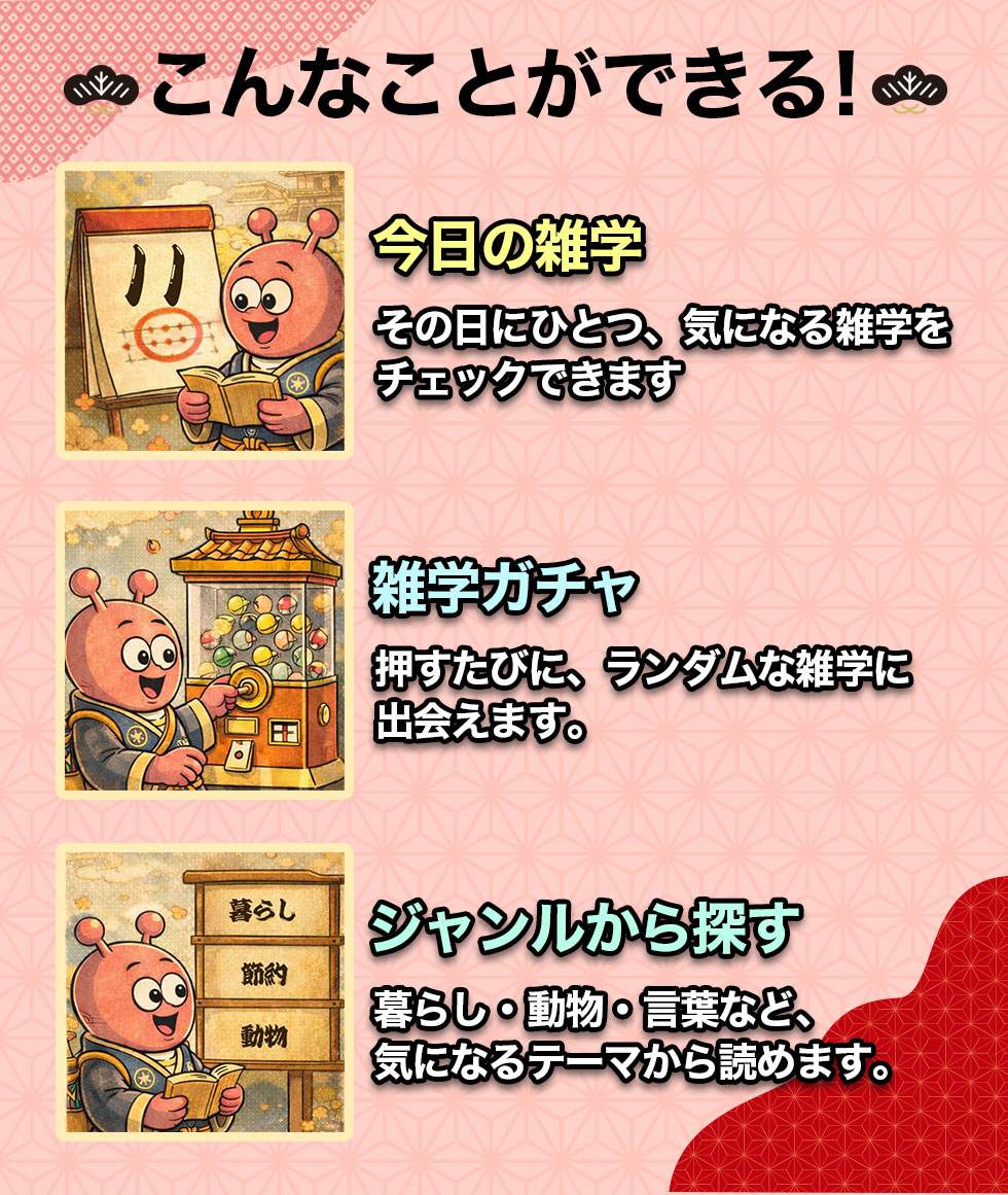 毎度雑学の魅力