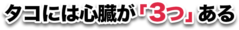 知識の旅へ